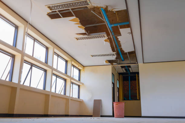 Best Emergency water damage restoration  in Petal, MS