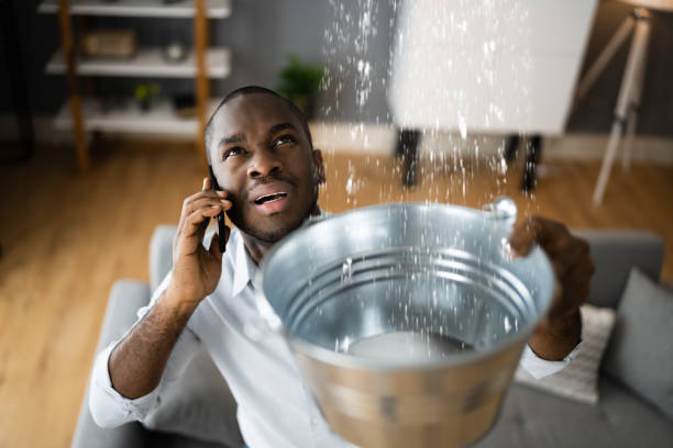 Best Local water damage restoration  in Petal, MS