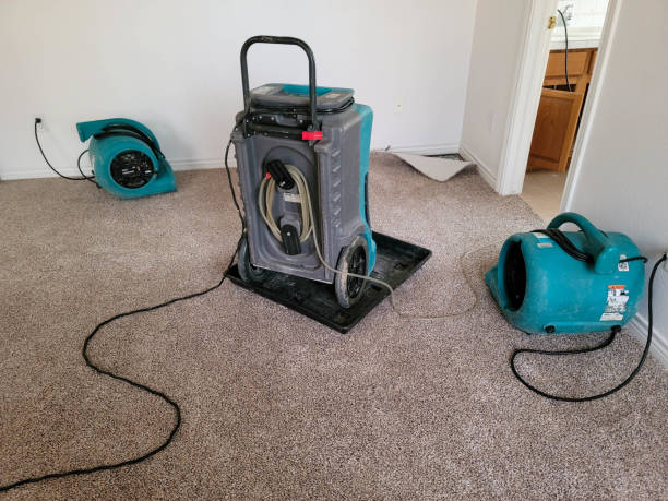 Carpet water damage restoration in Petal, MS