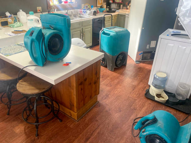 Best 24/7 water damage repair  in Petal, MS