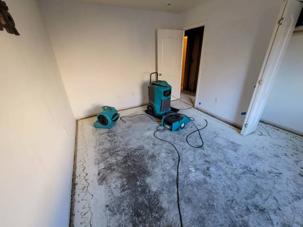 Water damage restoration experts in Petal, MS