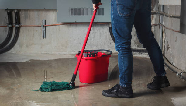 Best Ceiling water damage repair  in Petal, MS