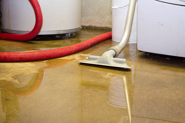 Best Water damage restoration services  in Petal, MS