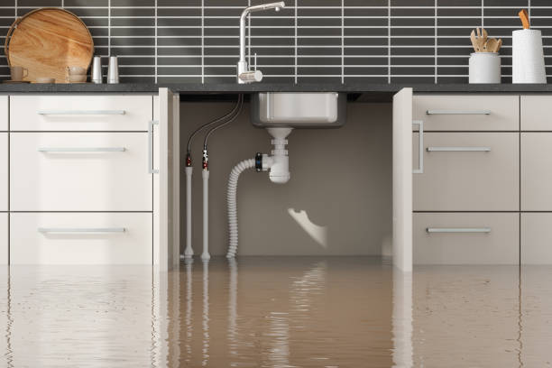  Petal, MS Water damage restoration Pros