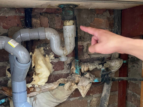 Best Local water damage restoration  in Petal, MS