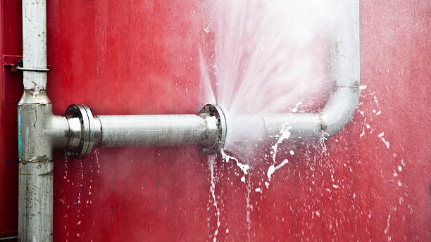 Best Basement water damage restoration  in Petal, MS