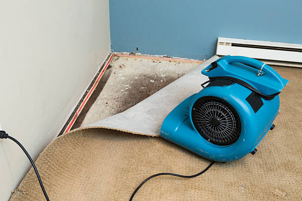 Trusted Petal, MS Water damage restoration Experts
